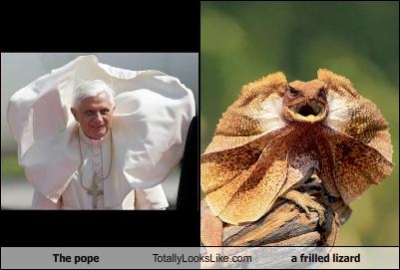 the_pope_totally_looks_like_a_frilled_lizard.jpg