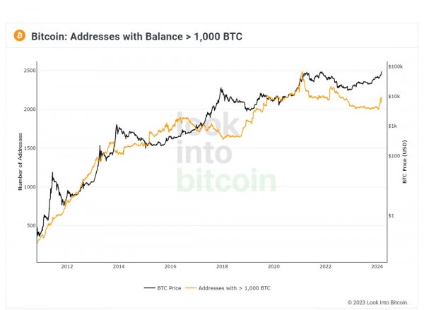 bitcoin-grows-every-four-years-4.jpg